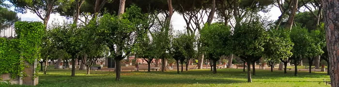 Oranges Garden Wheelchair Rome Accessible Tours